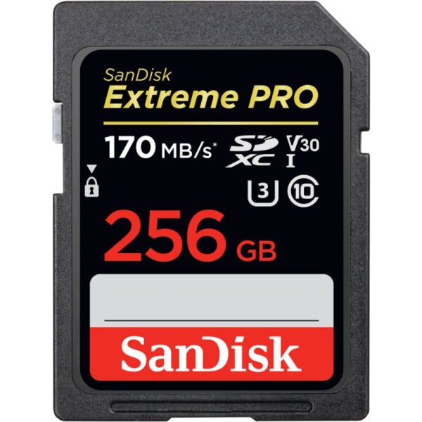 256GB Memory Card